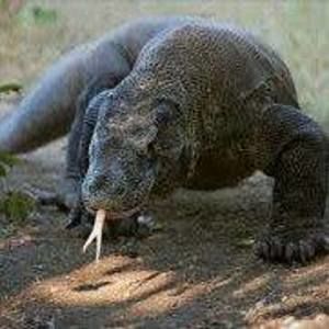 Meet your Posher, Luke